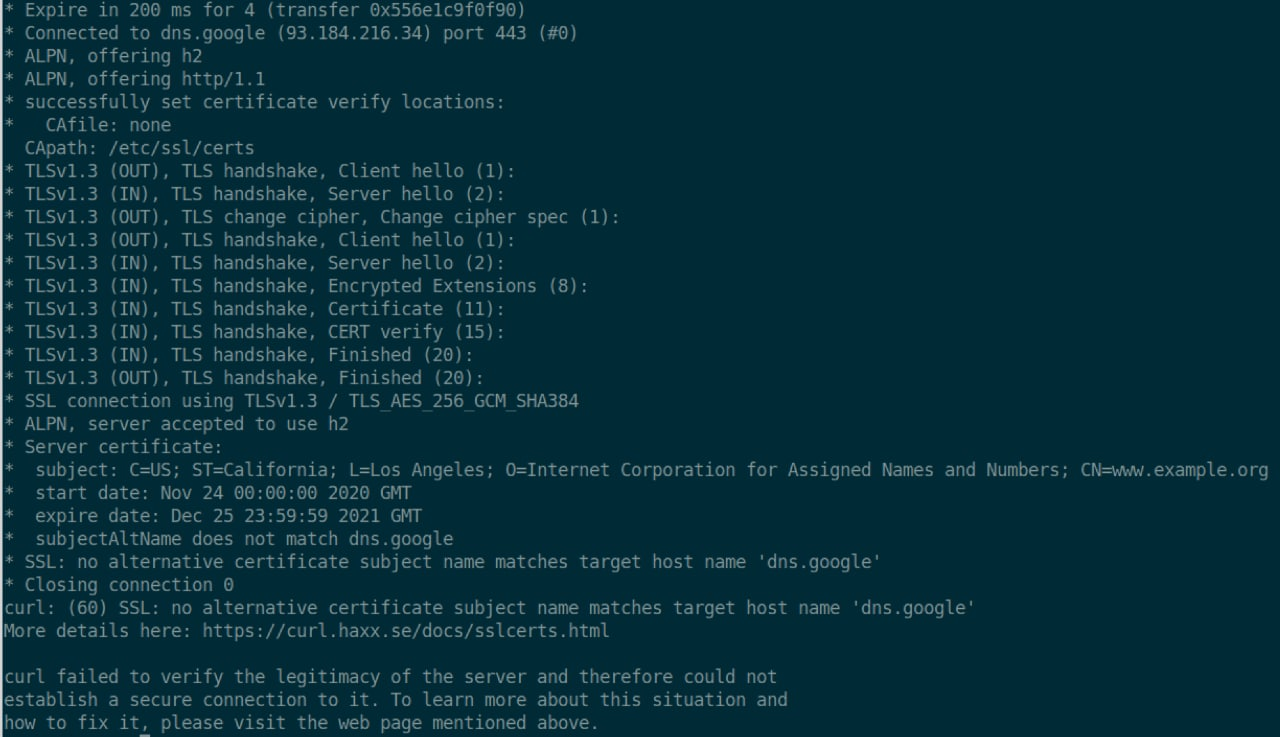 HTTPS curl dns.google with example.com ip