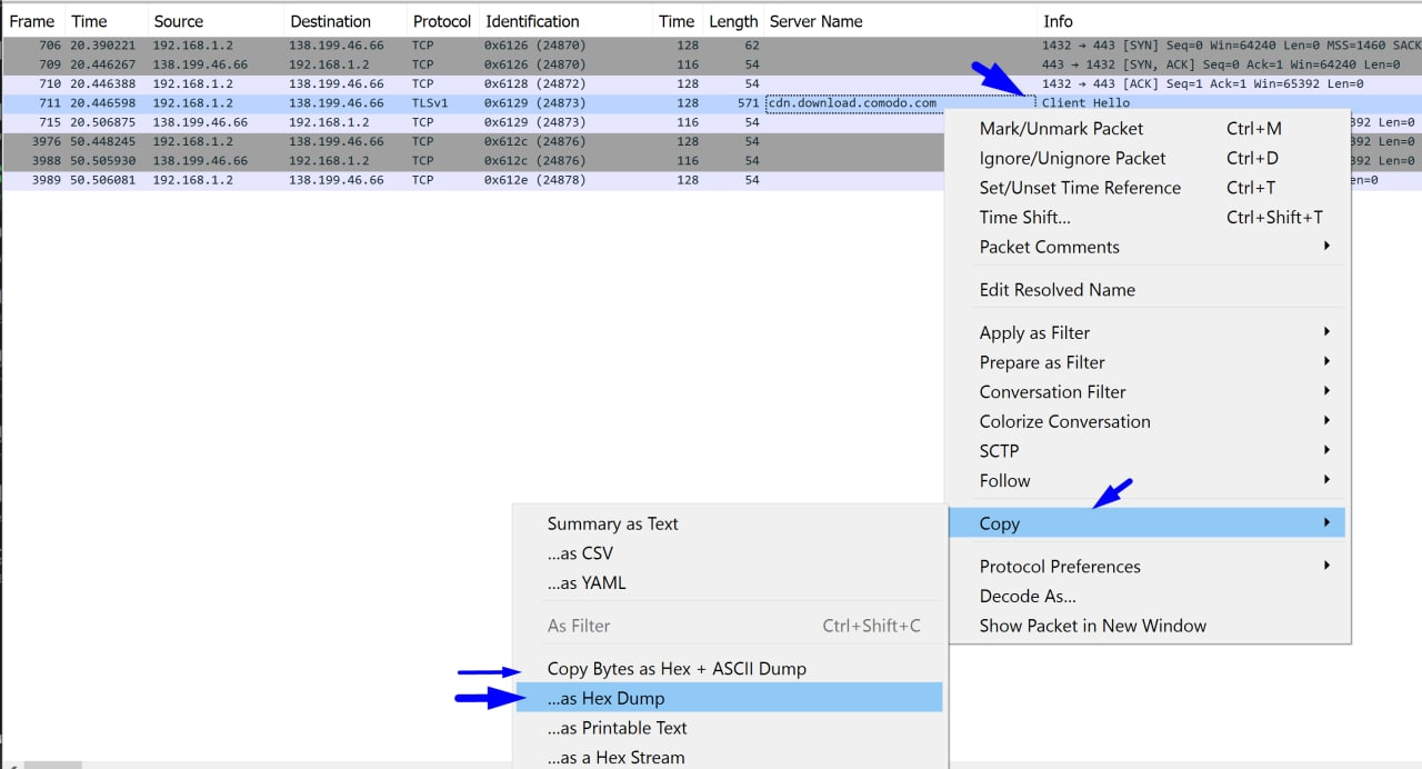 wireshark copy hexdump