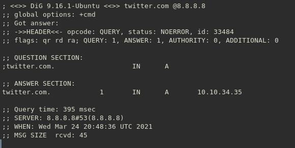 dns dig twitter at 8.8.8.8