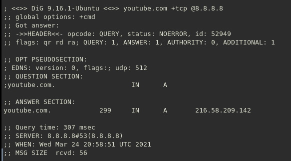 dns dig youtube tcp at 8.8.8.8