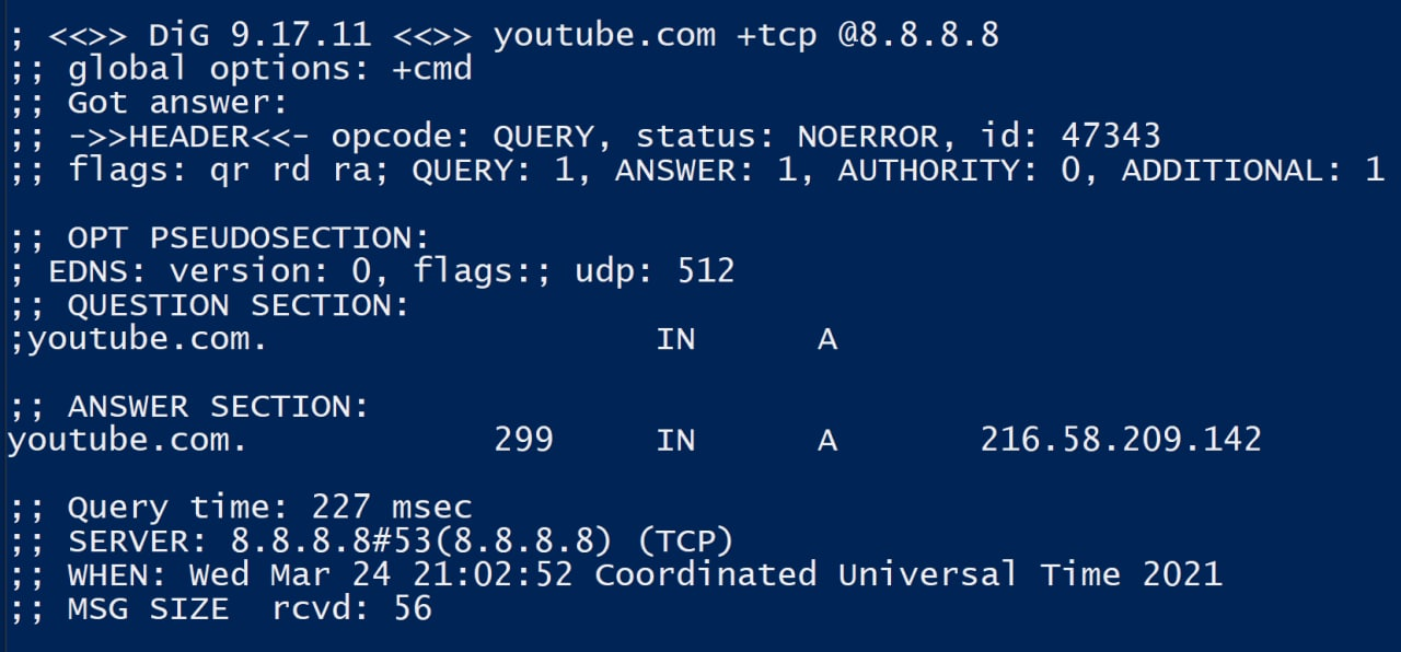 DNS windows dig youtube tcp at 8.8.8.8