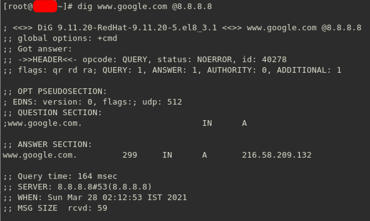 dig google.com 8.8.8.8