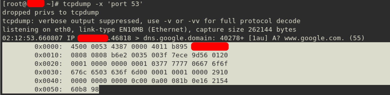 tcpdump x port 53 hex