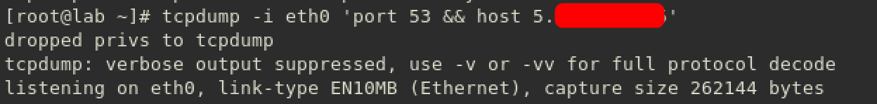 tcpdump server port53